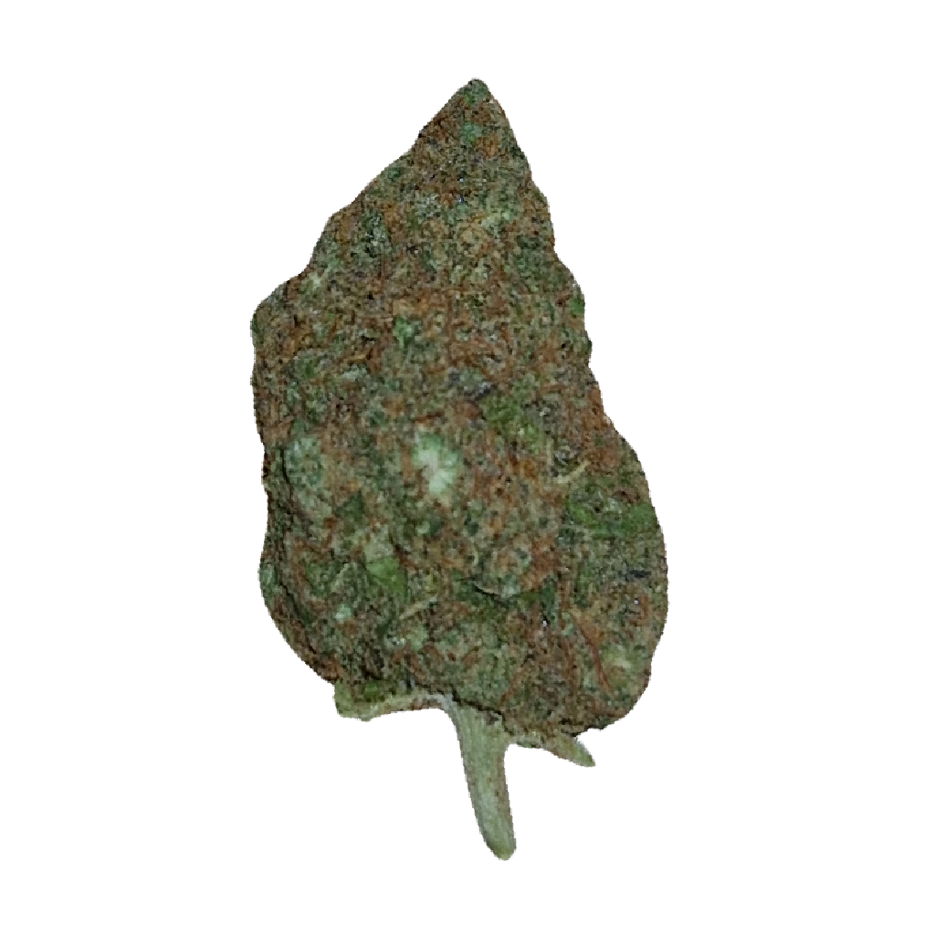 Orange_Tree_CBD_Flower_Bud