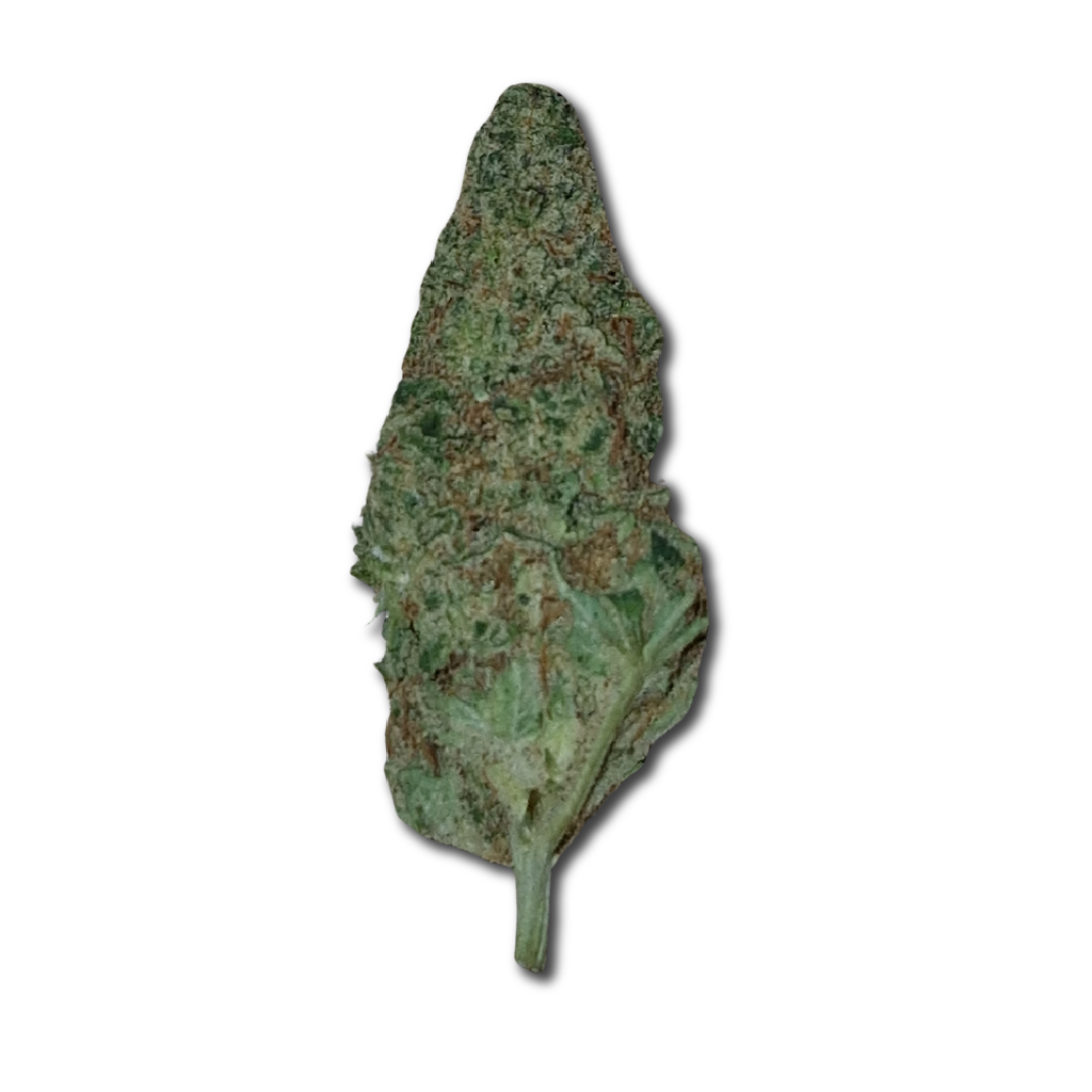 CBD_Flower_Bud