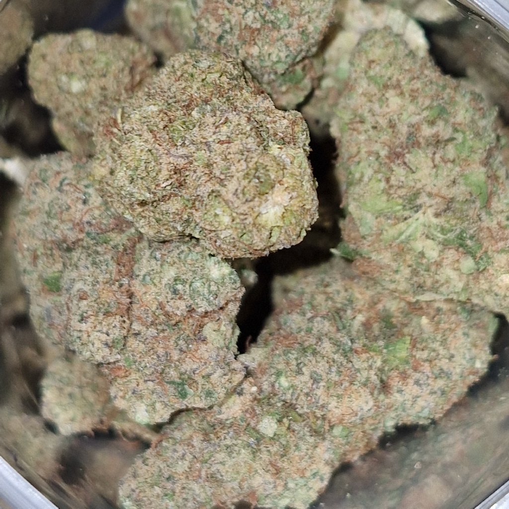 High Strength 'Ice Cream Sherbet' CBD Flower 24% Indoor - MelloCBD Flower