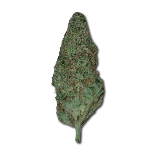 High Strength 'Ice Cream Sherbet' CBD Flower 24% Indoor - MelloCBD Flower